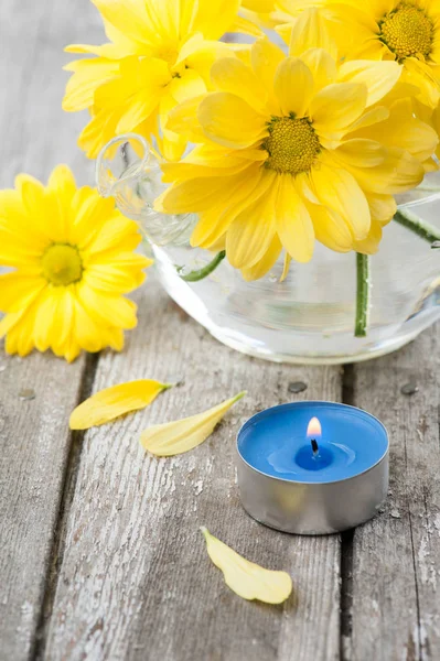 Verse gele madeliefjebloemen en blauw verlichte kaars — Stockfoto