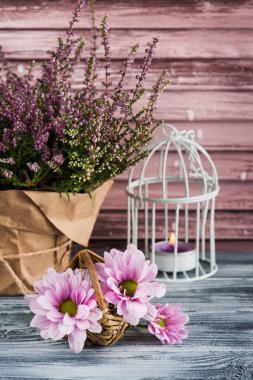 Tencerede, mumlar ile Kasımpatı pembe heather