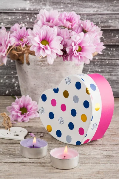 Roze chrysant in concrete pot met cadeau — Stockfoto