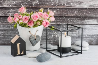 Mum ile beton tencerede pembe güller