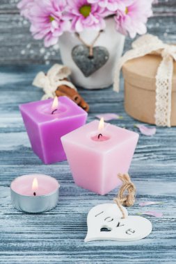 Beton tencerede pembe krizantem 