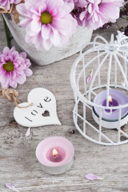 Mumlar ile beton tencerede pembe krizantem