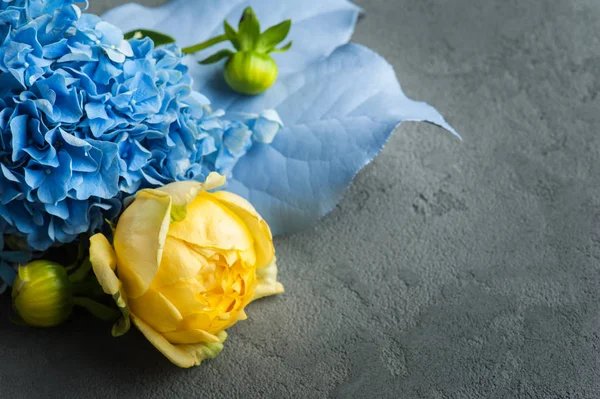 Ramo de hortensias amarillas y azules —  Fotos de Stock
