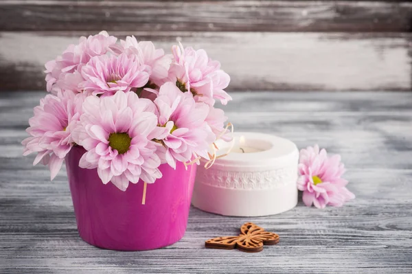 Roze chrysant in concrete pot — Stockfoto