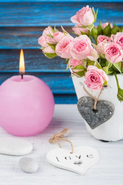 Rosas rosadas en maceta de hormigón con vela —  Fotos de Stock