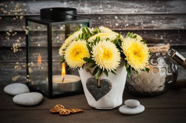 Mum ile beton tencerede sarı krizantem