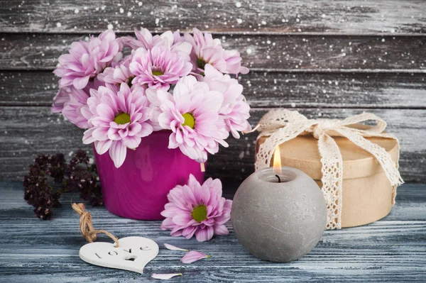 Beton tencerede pembe krizantem 