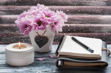 Beton tencerede pembe krizantem 