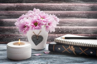 Beton tencerede pembe krizantem 