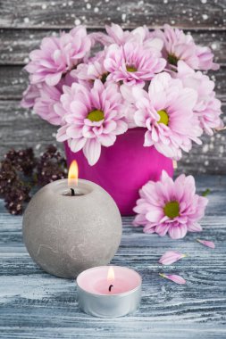 Beton tencerede pembe krizantem 