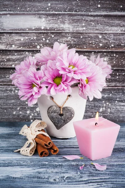 在混凝土罐粉红色菊花 — 图库照片