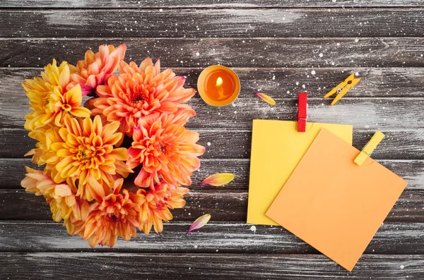 Herbst Hintergrund mit Chrysanthemen — Stockfoto