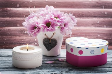 Beton tencerede pembe krizantem 