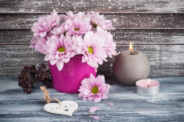 Beton tencerede pembe krizantem 