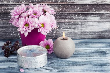 Beton tencerede pembe krizantem 