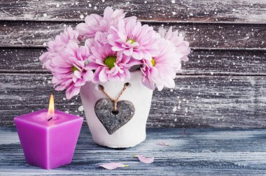 Beton tencerede pembe krizantem 