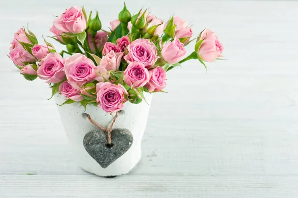 Rosas rosadas en maceta de hormigón —  Fotos de Stock