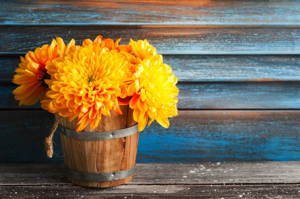 Crisantemo giallo in interni rustici — Foto Stock