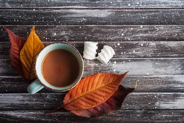 Chocolate caliente con malvaviscos, hojas de otoño —  Fotos de Stock