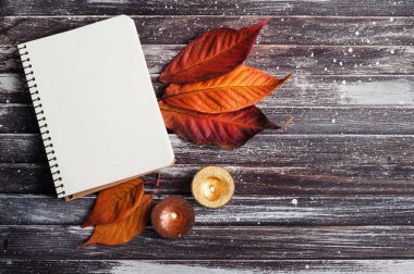 Sonbahar natürmort planlayıcısı ile