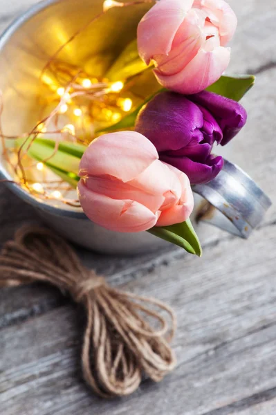 Flor de tulipán colorido, luces —  Fotos de Stock