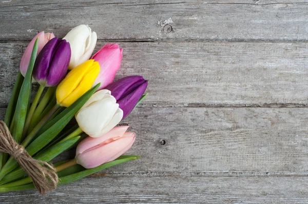 Tulipan kolorowe kwiaty, karta — Zdjęcie stockowe