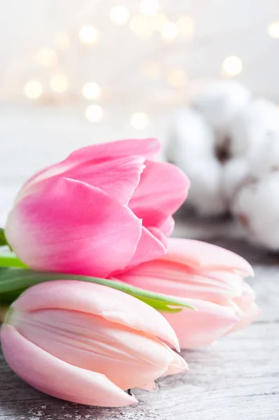 Flor de tulipán rosa, luces —  Fotos de Stock