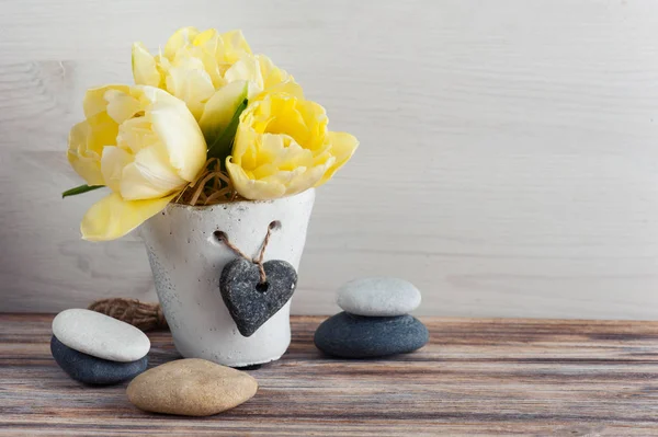 Fleur de tulipe jaune, cailloux — Photo