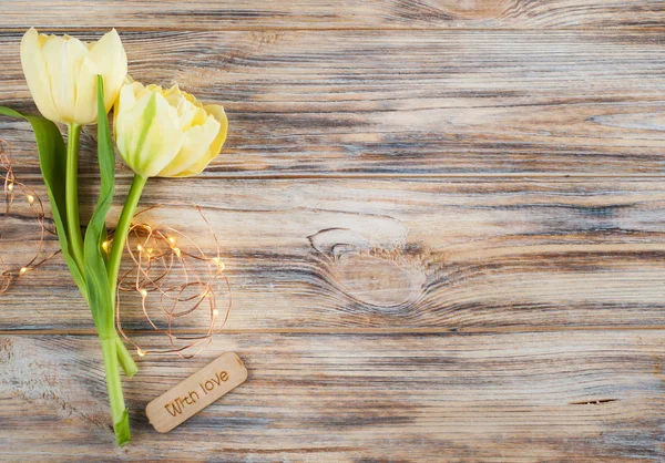 Gele tulp bloem, verlichting — Stockfoto