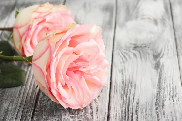 Rosas rosadas sobre fondo de madera —  Fotos de Stock