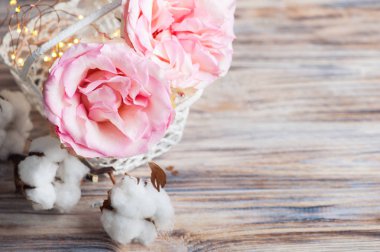 Pembe Gül, kopya alanı