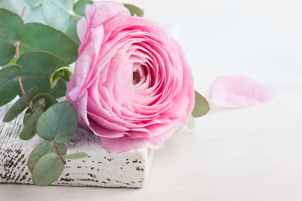 Rosa flor buttercup en madera blanca —  Fotos de Stock