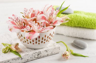 Lilly, havlu ile Spa kase