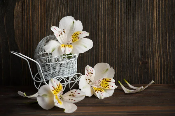 Flores brancas de lírio amarelo — Fotografia de Stock