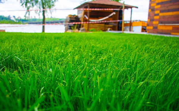 Karantina sırasında yeşil çimenler bantla çevrili