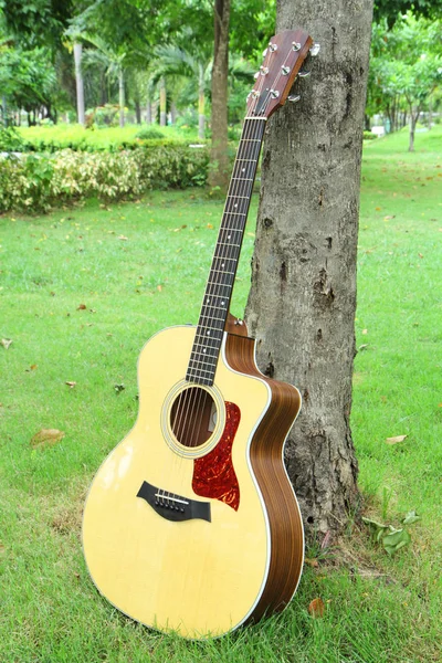 Akoestische gitaar in het park — Stockfoto