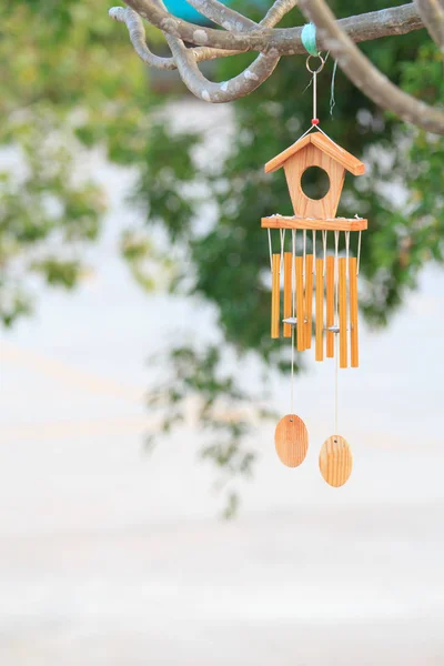 Rüzgar çanı ağaç