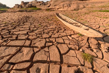 Yaz sezonu kurak toprak