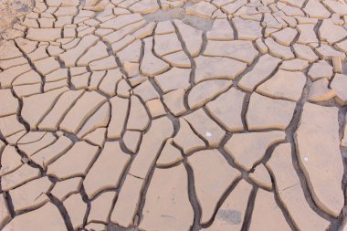 kurak toprak zeminde