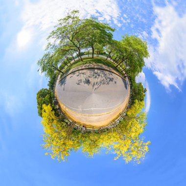 Cassia fistül ağaç daire Panoraması