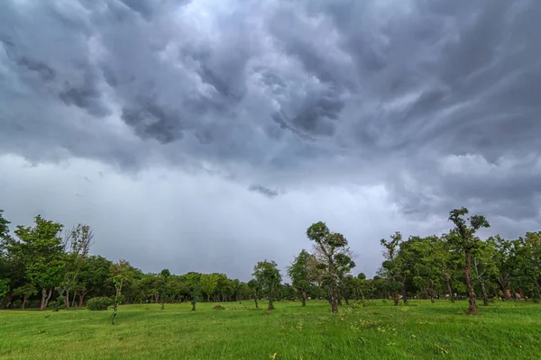 Tempête de nuages au parc — Photo