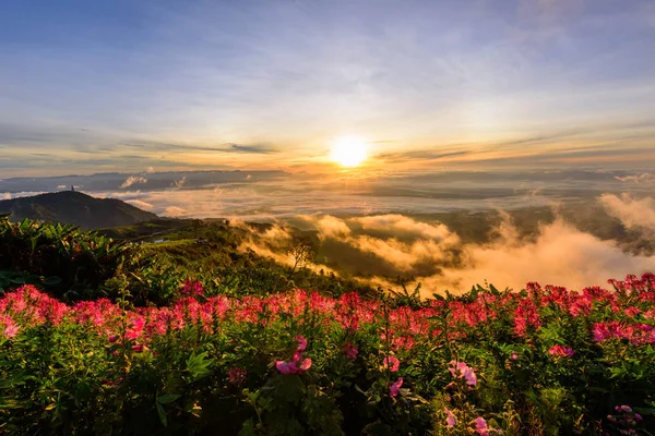 yüksek Dağı'nda sis deniz 