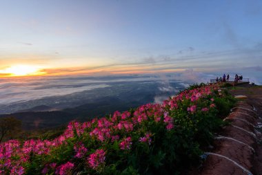 yüksek Dağı'nda sis deniz 