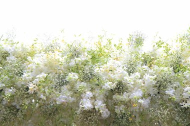 Çiçek düzenleme tünel