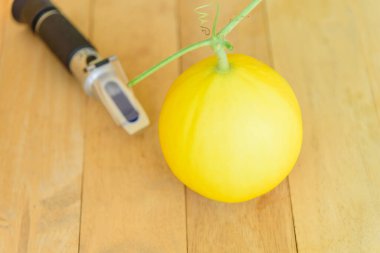 Tahta tabakta tatlı testçiyle taze altın kavun