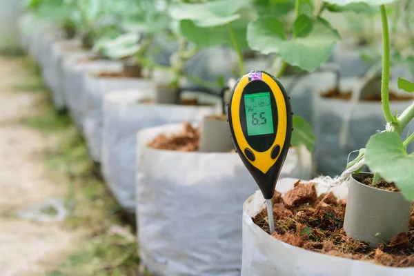 PH değerini kontrol etmek için toprak pH ölçer kullan 