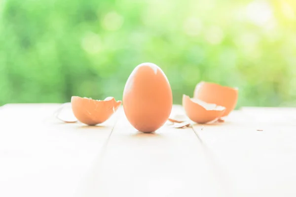 板の上に壊れた卵の殻を持つ卵 — ストック写真