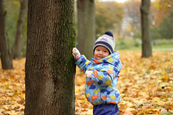 Sonbahar parkta duran güzel çocuk portresi