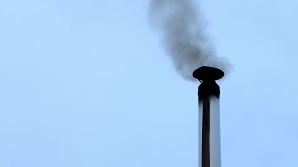 Чорний дим з димоходу — стокове відео