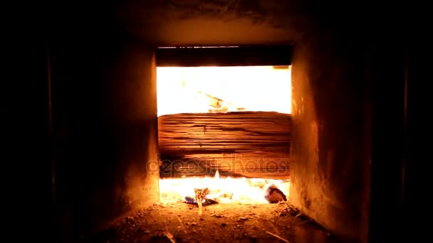 Wood burning oven fire — Stock Video